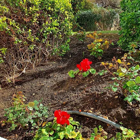 Appartement Rymlig Laegenhet Foer 7,8 Persons In Boliches, Fuegirola Fuengirola