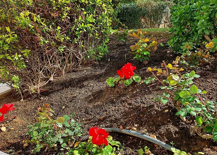 Apartment Rymlig Laegenhet Foer 7,8 Persons In Boliches, Fuegirola Fuengirola